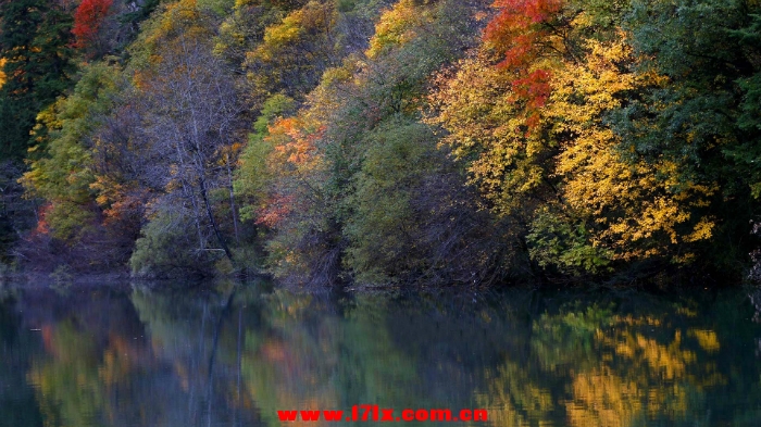 152303ezmzse47ezmceis6.jpg