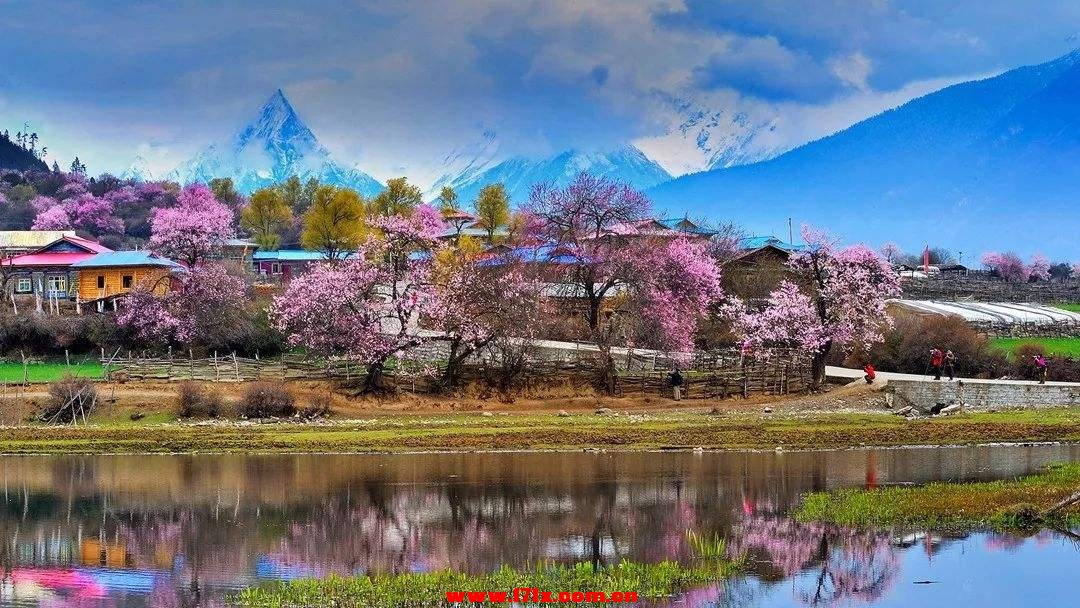 西藏林芝2.jpg